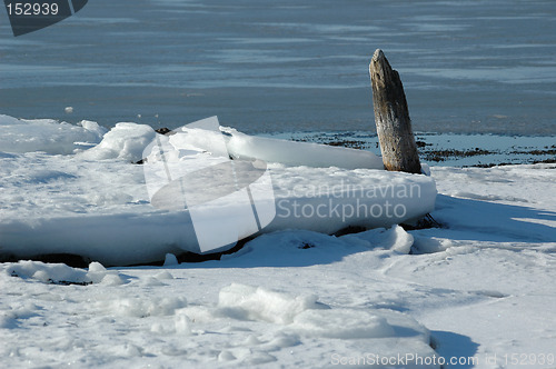 Image of ice and log