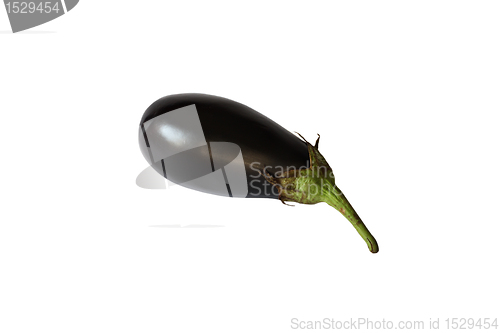 Image of Eggplant