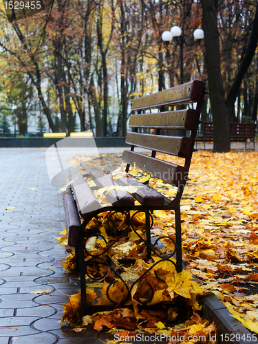 Image of Empty bench in a autumn park