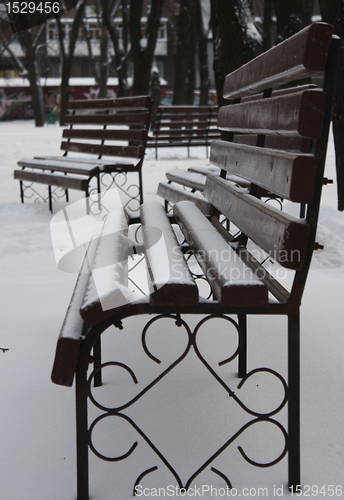 Image of Empty benches in a winter park