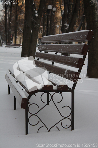 Image of Empty bench in a winter park