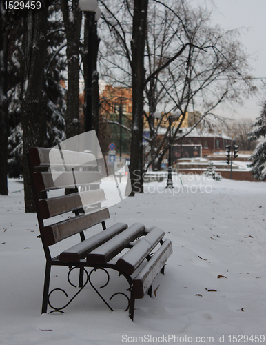 Image of Empty bench in a winter park