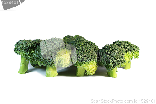 Image of Broccoli isolated on the white