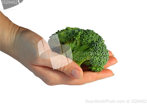Image of Broccoli isolated on the white