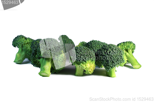 Image of Broccoli isolated on the white