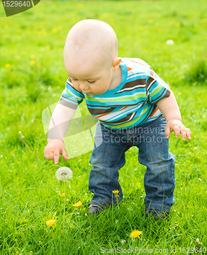 Image of Little boy is playing on green meadow