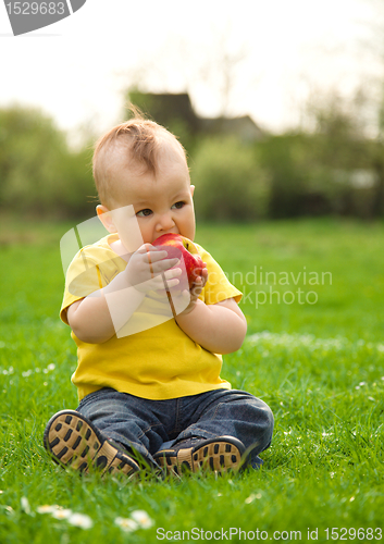 Image of Little boy is sitting on green meadow