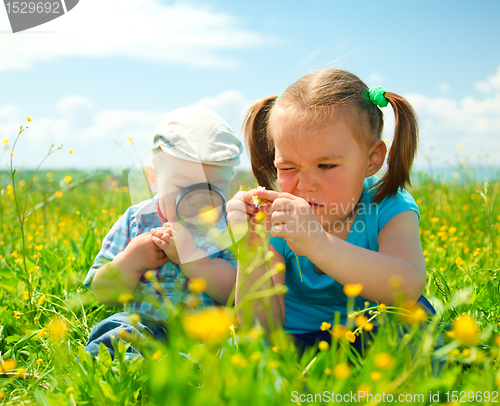 Image of Children are playing on green meadow