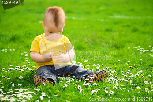 Image of Little boy is sitting on green meadow