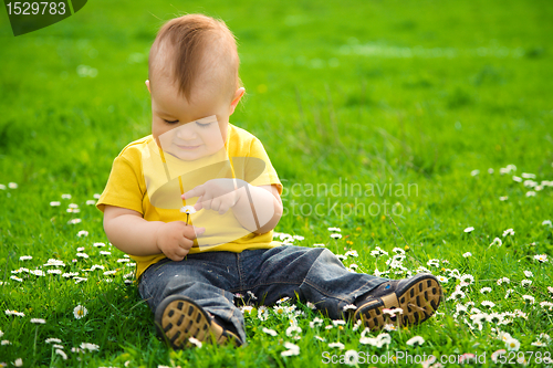 Image of Little boy is sitting on green meadow