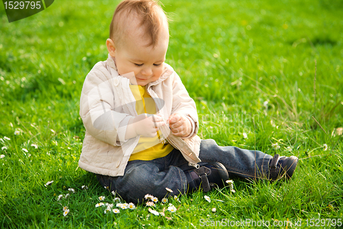 Image of Little boy is sitting on green meadow