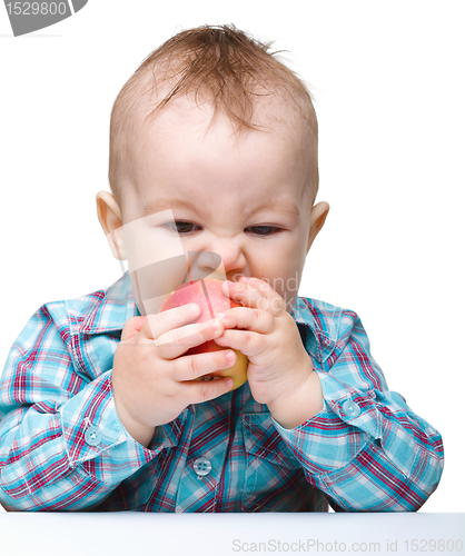 Image of Little child is eating red apple