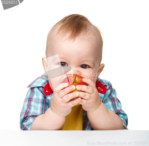 Image of Little child is eating red apple