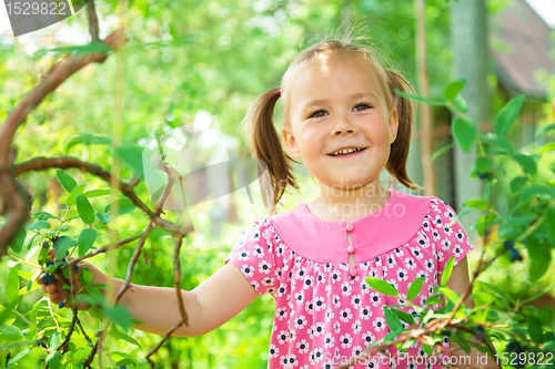 Image of Girl is picking sweetberies from the bushes
