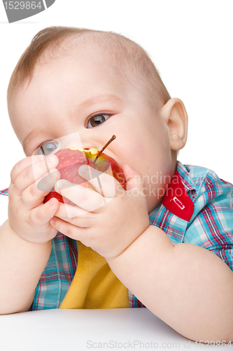 Image of Little child is eating red apple