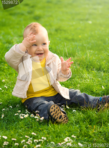 Image of Little boy is sitting on green meadow