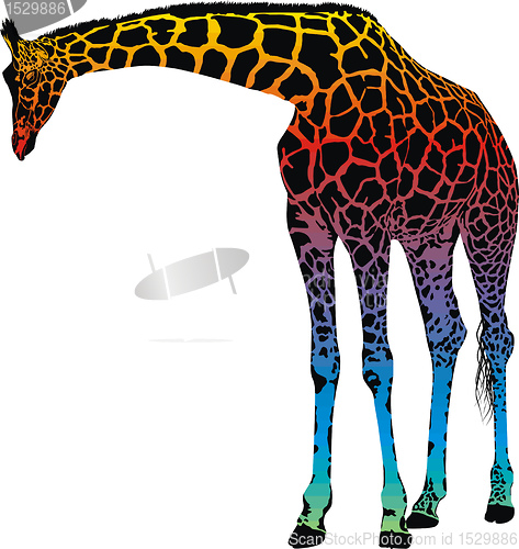 Image of giraffe - abstract rainbow