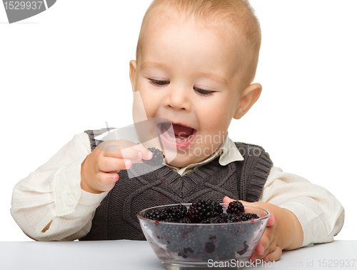 Image of Little boy is eating blackberry