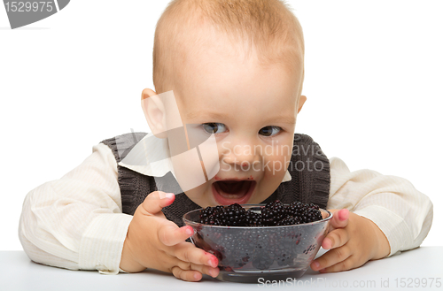 Image of Little boy is eating blackberry