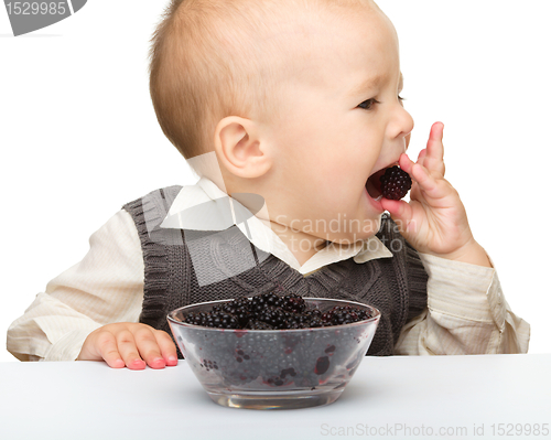 Image of Little boy is eating blackberry