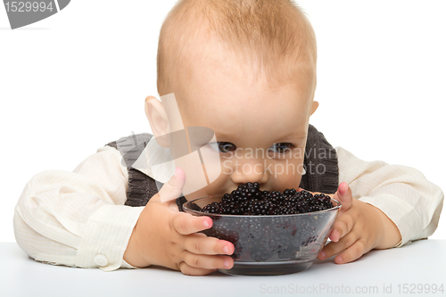 Image of Little boy is eating blackberry