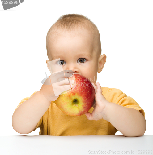Image of Little child is biting red apple
