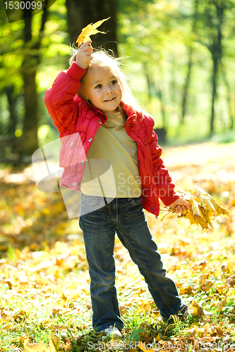 Image of Little girl is playing in autumn park