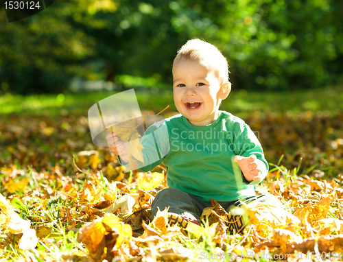 Image of Little boy is playing in autumn park