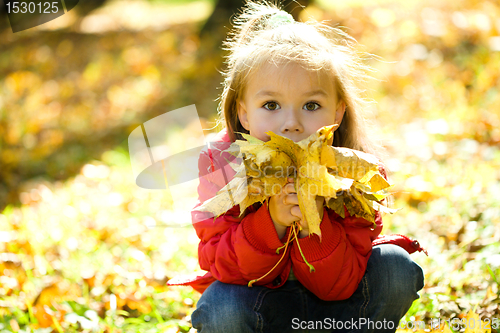 Image of Little girl is playing in autumn park