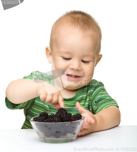 Image of Cheerful little boy is eating blackberry