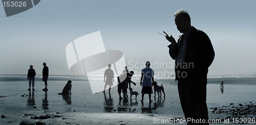 Image of Dogs and people at the beach