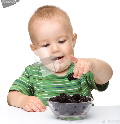 Image of Cheerful little boy is eating blackberry