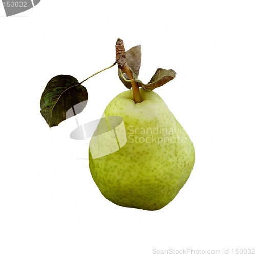 Image of Pear