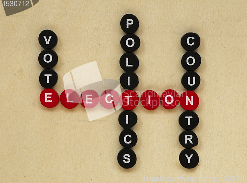 Image of Elections conception texts