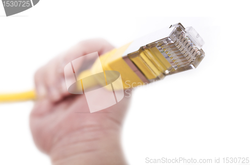 Image of yellow network cable in babys hand