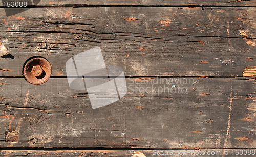 Image of Decayed wood texture