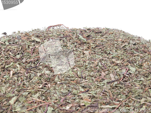 Image of Dried peppermint