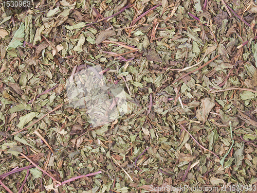 Image of Dried peppermint