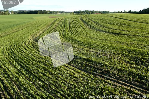 Image of Norwegian agriculture