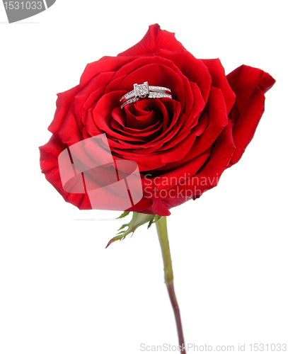 Image of Diamond Ring in Rose