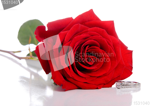 Image of Diamond Ring and Rose