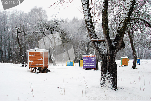 Image of Hives cover snow colorful bee house winter tree 