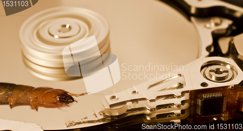 Image of worm on hard disk