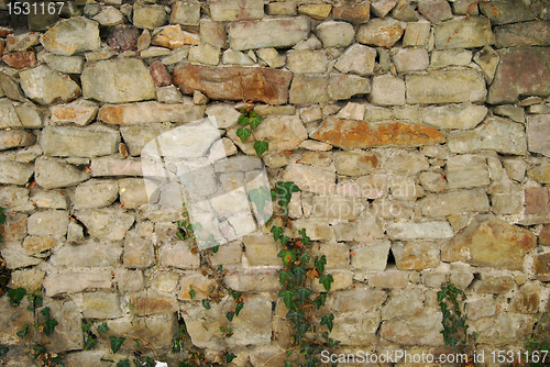 Image of Stone park wall, ivy