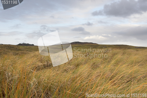 Image of scottish hilly grassland