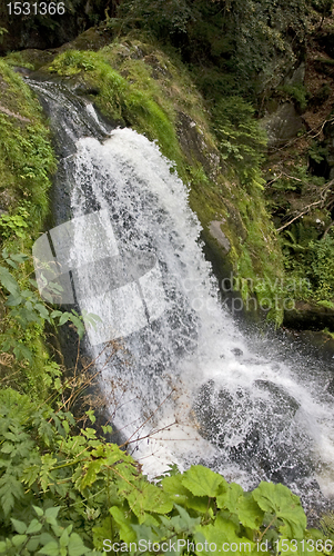 Image of idyllic Triberg Waterfalls