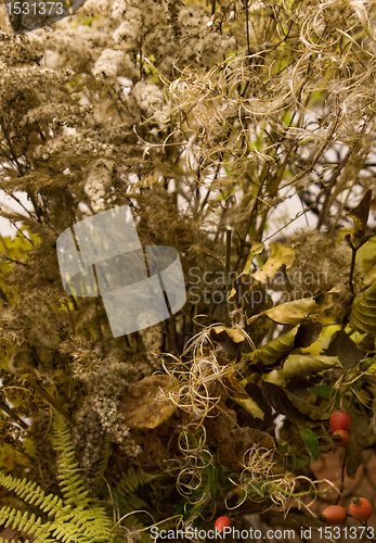 Image of autumn background