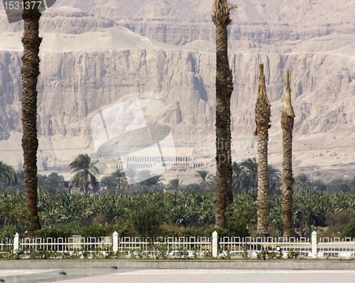 Image of around the Mortuary Temple of Hatshepsut