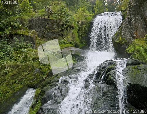 Image of idyllic Triberg Waterfalls