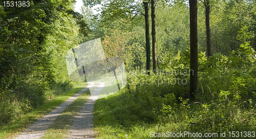 Image of farm track in the Liliental